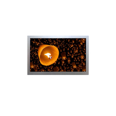 AA080MB11ADA11 8,0 pouces 800*480 LVDS écran LCD à 20 broches