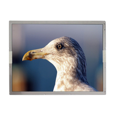 LQ150X1LGN1 15,0 pouces 1024*768 écran LCD