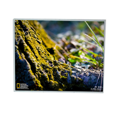 LM200WD3-TLF2 Module d'écran LCD de 20,0 pouces 1600*900 pour LG