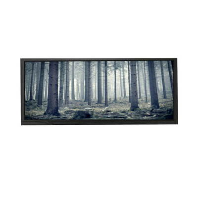 AV103Z7M-N13-3850 10,3 pouces écran LCD