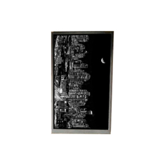 BS052FHM-L00-6K00 5,2 pouces écran LCD