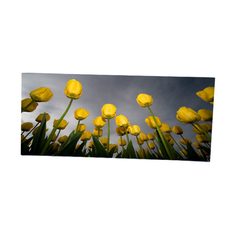 LM340WW2-SSD1 Affichage LCD de 34,0 pouces 2560*1080