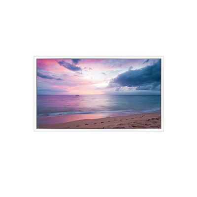 Écran LCD de 55 pouces à 60 Hz 1200:1