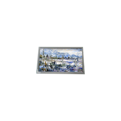 AM-800600M1TMQW-03H 800*600 8,4 pouces 12S4P WLED TFT-LCD Écran industriel