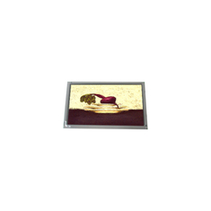 1024*600 AM-1024600K7TMQW-T05H Panneau d'écran LCD TFT pour ampère