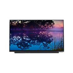 B156HANAA.0 Écran LCD de 15,6 pouces original pour écran d'ordinateur portable