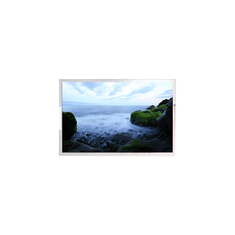 P1730FHF1MB00 Écran LCD TFT 1920*1080 de 17,3 pouces
