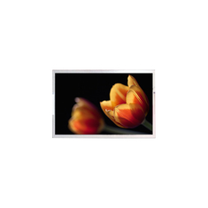 LW315AQQ-ESG2 original écran LCD 32 pouces 4K