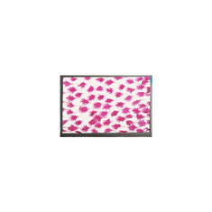 9.0 pouces 800*480 écran LCD affichage E090SWP1 R2 panneau LCD
