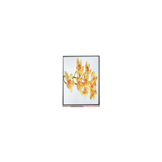 C060SWY2-1 6.0 pouces 480*854 TFT écran LCD