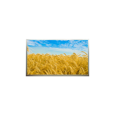 M216H1-L001 21.6 pouces 1920*1080 FHD écran LCD avec écran de bureau