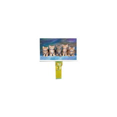 TM070RDH11 Écran LCD de 7,0 pouces 800*480