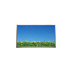 Écran LCD 18,4 pouces N184H6-P02 40 broches 1920*1080