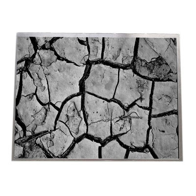 Bon prix 12,1 NEC de Pin RVB 1024X768 NL10276BC24-19D du panneau 30 de TFT LCD de pouce en ligne