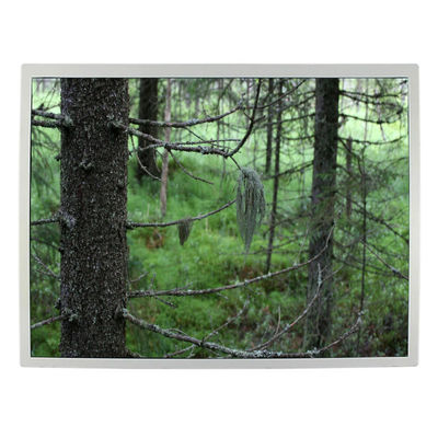 Bon prix 12,1 affichage industriel d'affichage à cristaux liquides TFT de l'écran LQ121S1LG79 d'affichage à cristaux liquides de pouce 82ppi en ligne