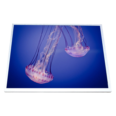 Bon prix HSD100IXN1-A10 écran LCD 10.0 pouces panneau LCD en ligne