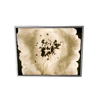 Bon prix NL256204AM15-02A Écran LCD pour les images médicales en ligne