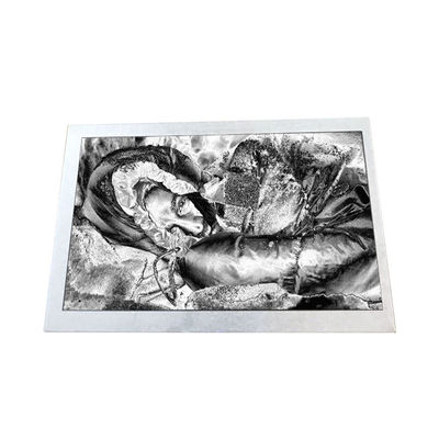 Bon prix Écran LCD de 5,0 pouces 188PPI en ligne