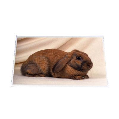 Bon prix B140RW03 V1 14.0 pouces 1600*900 écran LCD en ligne