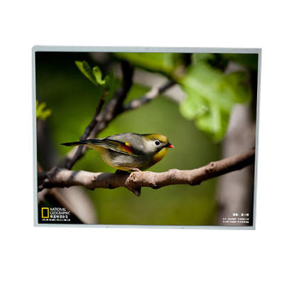 Bon prix LM201U1-A3M1 20,1 pouces écran LCD 1600*1200 en ligne