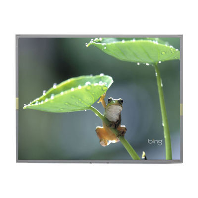 Bon prix LM2013-WETLF1 Original en stock Écran LCD de 20,1 pouces en ligne