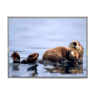 Bon prix LM2013-TLWEJ1 Affichage à écran LCD TFT de 20 pouces 1680*1050 en ligne