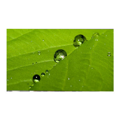 Bon prix LM270WF9-SSA1 Panneau LCD de 27,0 pouces 1920*1080 Affichage LCD TFT en ligne