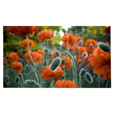 Bon prix LM270WR8-SSC1 Panneau LCD de 27 pouces 3840*2160 Affichage LCD en ligne