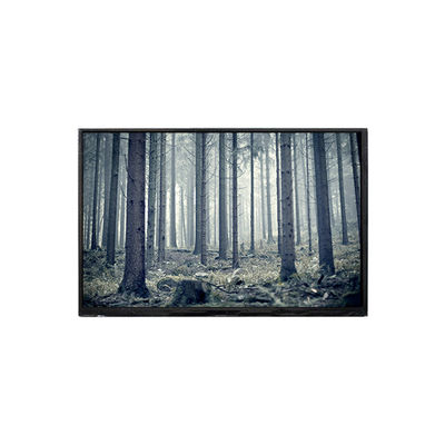 Bon prix BP101WX2-100-3QP0 écran LCD de 10,1 pouces Affichage LCD en ligne