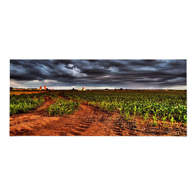 Bon prix LM340UW6-SSA3 Panneau LCD 34,0 pouces 3440*1440 Affichage LCD en ligne