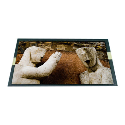 Bon prix Module d'affichage LCD de 8,9 pouces pour LG en ligne