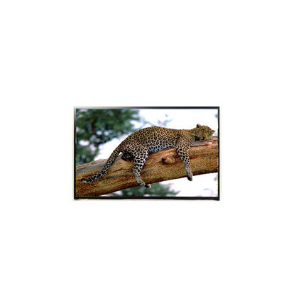 Bon prix LP141WP1-TLE6 14,1 pouces 60 Hz écran LCD en ligne