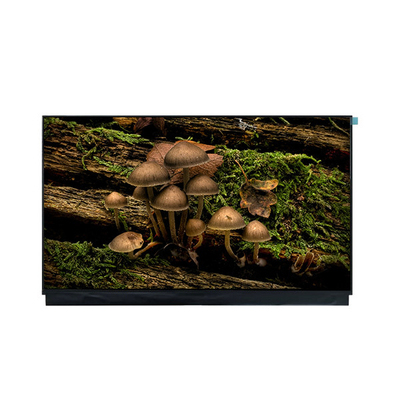 Bon prix Nouveau DV180FHM-N10 18.0 pouces 1920*1080 écran LCD en ligne