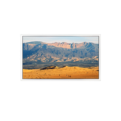 Bon prix Écran LCD de 49 pouces 3840*2160 DV490QUB-N8A pour l'affichage numérique en ligne