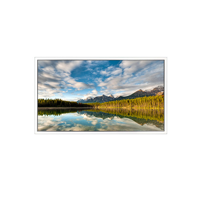 Bon prix Écran LCD de 55 pouces DV550FHB-N30 1920*1080 pour affichage transparent en ligne