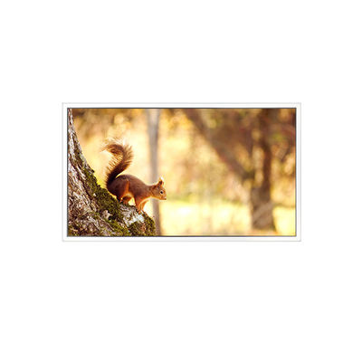 Bon prix Écran LCD de 15,6 pouces pour le secteur industriel en ligne