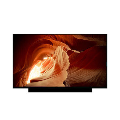 Bon prix EV173FHM-N81 Nouveau écran LCD de 17,3 pouces 1920*1080 en ligne