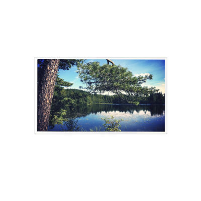 Bon prix 1024*768 15,0 pouces TDA150-002 LVDS 700 cd/m2 Écran LCD en ligne