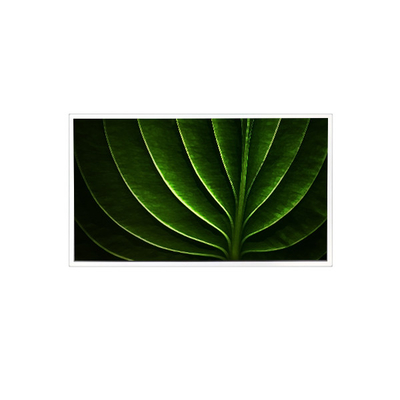Bon prix TAD201-001 Écran LCD de 20 pouces 1600*1200 450 cd/m2 à 60 Hz pour le secteur industriel en ligne