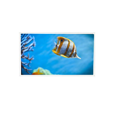 Bon prix 7.1 pouces RV071Y4G-N00 768*768 écran LCD pour l'industrie en ligne