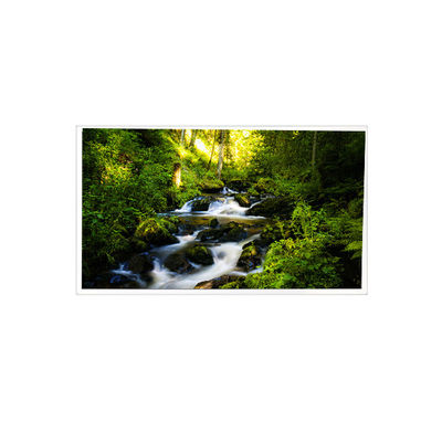 Bon prix RV042Z6G-N00 Écran LCD de 4,2 pouces 480*480 pour ordinateur portable en ligne