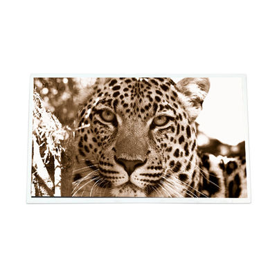 Bon prix 7.0 pouces GT070WVM-N12 800*480 WLED 600:1 Module de panneau LCD en ligne