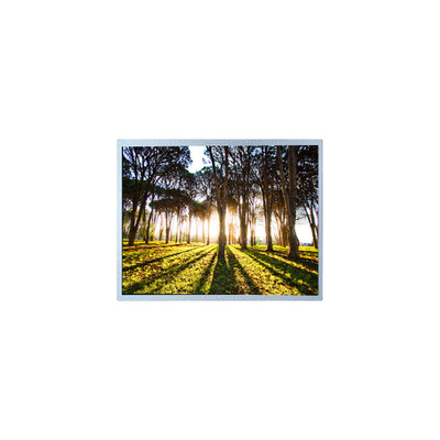 Bon prix Vente à chaud 800*480 PM100WX2 10,0 pouces écran LCD pour l'industrie en ligne