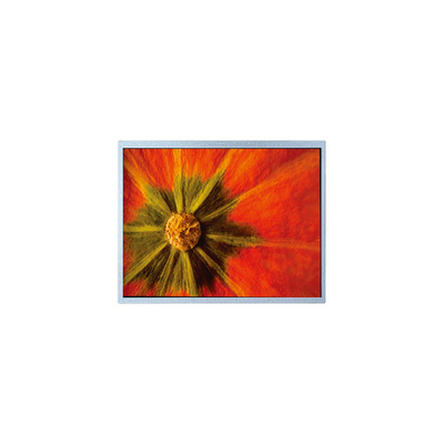 Bon prix L'écran LCD TFT original 1024*600 AM-1024600LTMQW-T05H-A en ligne