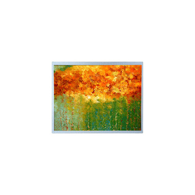 Bon prix 7.0 pouces T-51383L070J-FW-P-AB 480 * 234 écran LCD pour le lecteur de DVD portable en ligne