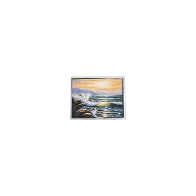 Bon prix T-51991GD015-MLW-AIN MiNi écran LCD de 1,46 pouce pour téléphone mobile en ligne