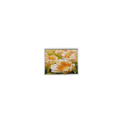 Bon prix COM50T5123XLC 320*240 Écran LCD de 5,0 pouces en ligne