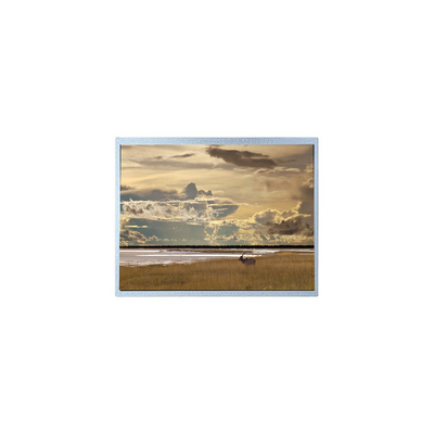 Bon prix P430HVN05.1 original de 43 pouces 1500 cd/m2 Écran LCD en ligne