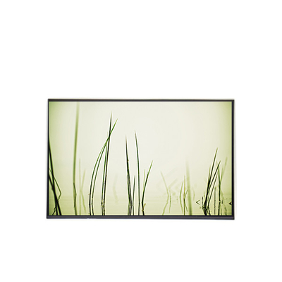 Bon prix B160ZAN01.R écran LCD écran portable 16,0 pouces de remplacement en ligne