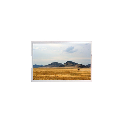 Bon prix TFT7D0906-A Écran LCD Affichage de 6,3 pouces Panneau de module LCD en ligne